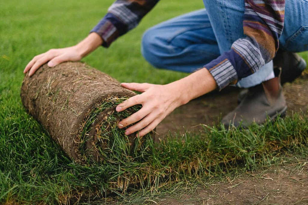 Sod company calgary. Landscapers in calgary that install sod.