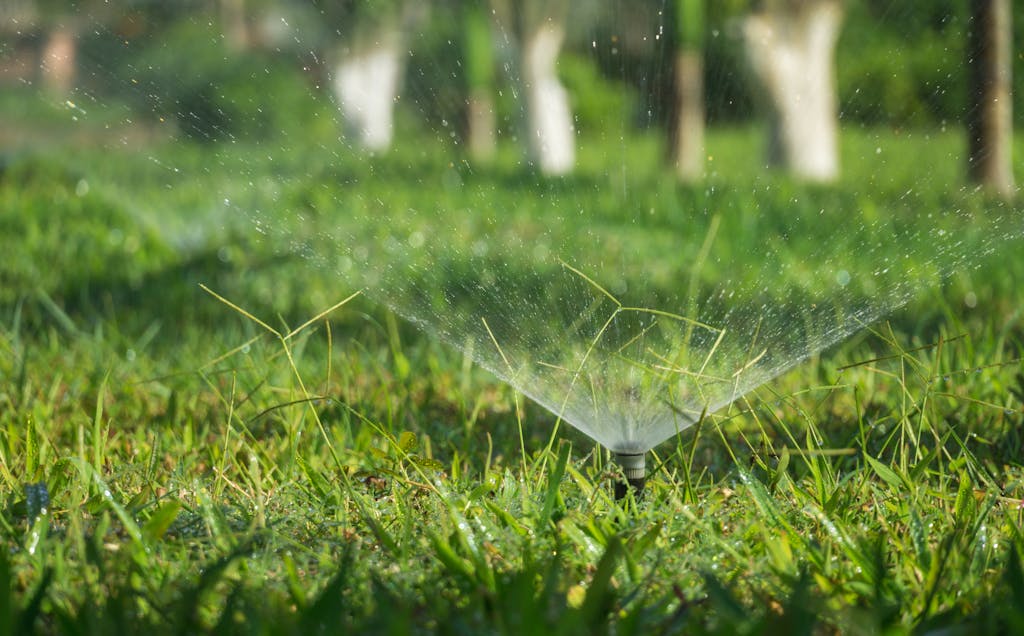 Sprinkler on a Grassy Field